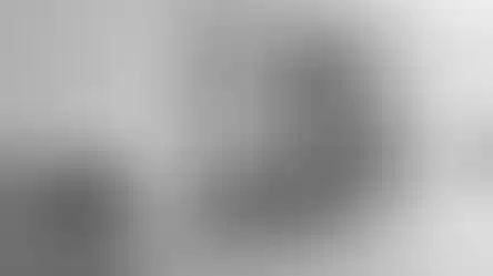 874957_434ce8b5435c4d13bfaf8a33d32f6a76~mv2