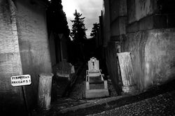 portfolio pessoal fotógrafa freelancer susana jorge