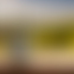 Georgian Wine Brands: A Complete Guide to the Finest Wineries from Georgia