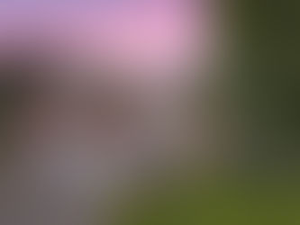 3014 Secret Garden Court