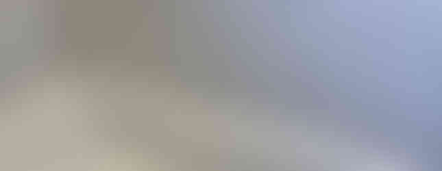 House Cleaning Services