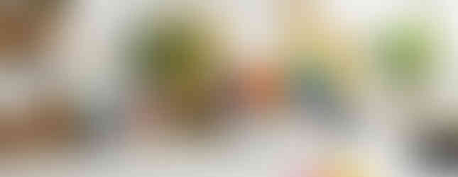 2024 Interior Trends Inviting Living Room