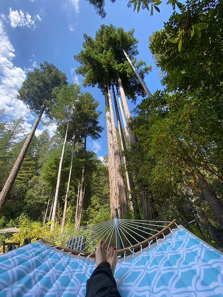 Wellness mindfulness retreats for women in Caifornia