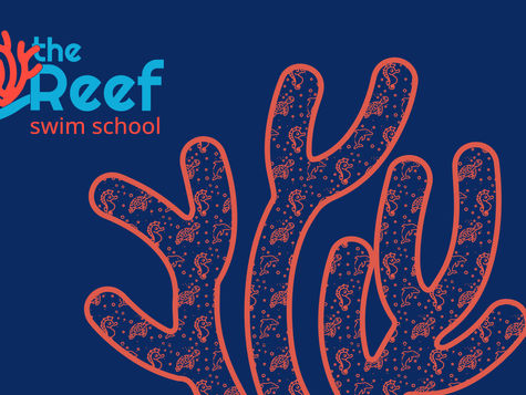 Branding Project for The Reef Swim School in New Providence, NJ