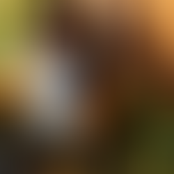 Rtoni Winery: Tradition and Innovation in Georgian Winemaking