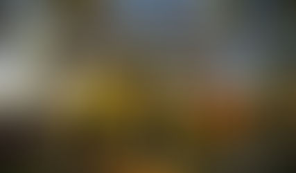 Autumn 2020 Newsletter