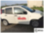 Automezzi Decorzioni es. 4