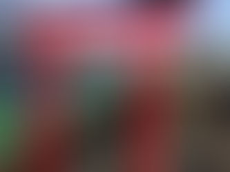 新しい鳥居を設置しました