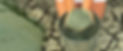 the-harvest_edited.jpg