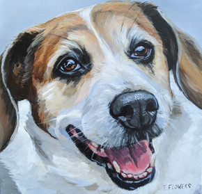 Atlanta dog pet portrait