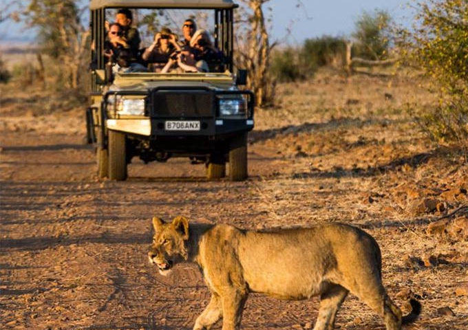 Chobe Safari 1.jpg