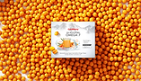 CardiBerrry-In_SeaBuckthorn-01.png