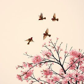 image_large_9141685f-86be-4fe5-baa7-59df0f6d109f.jpeg
