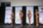 NPC Figure Competition