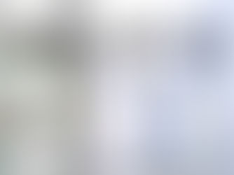 Perception & Fairness