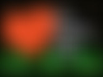 Is Your Nonprofit Healthy? Take the 12-Question Pulse Check