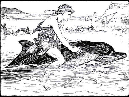 Dogpaddling with Dolphins