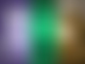 What’s Your Church-Type?