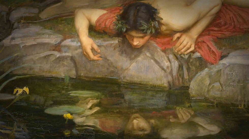 Narcissus