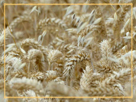 The Problem With Religion