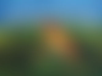 The Secret of Productivity