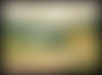 The Neuroplasticity of Thankfulness