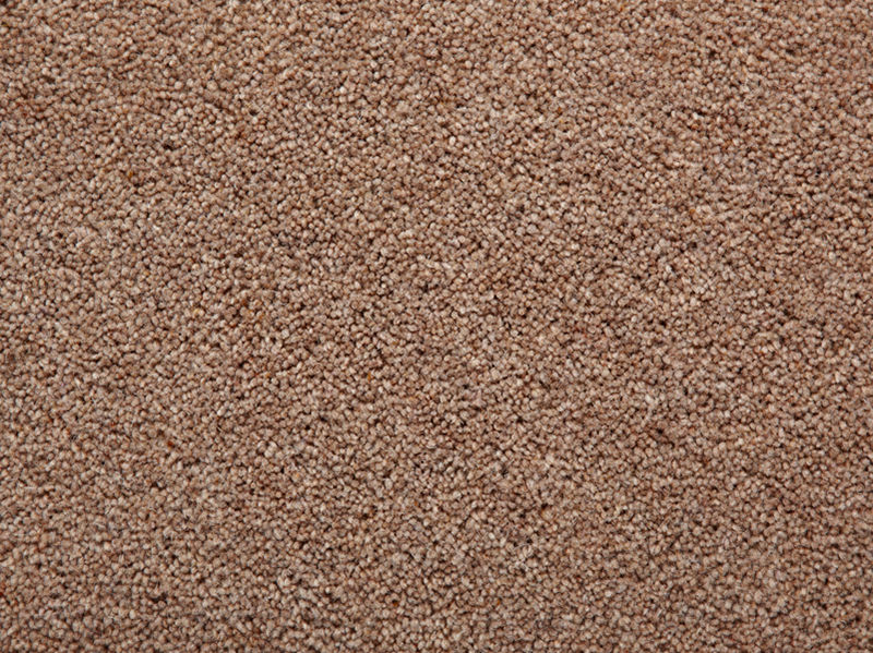 Oak - Tomkinson Twist Carpet