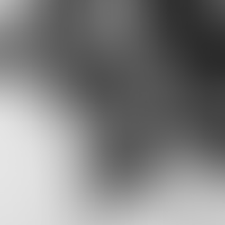 Most Chic Fashion Trends