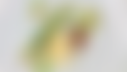 Culinary Arts: Monkfish, stuffed razor clams and lemon sauce recipe