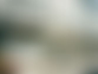 Ottawa Bucks Trend Of Slow Home Sales With 72% Spike In Townhomes