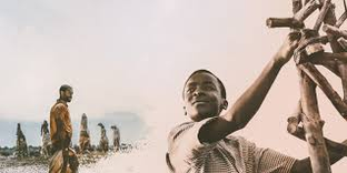 The Boy Who Harnessed the Wind
