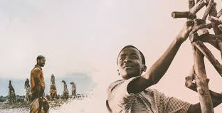 The Boy Who Harnessed the Wind