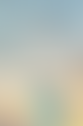 “The Wings” by Lauren Vo is a poignant novel about two women escaping oppression in search of freedom.