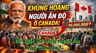 Định cư Canada 2026: Ấn Độ giảm mạnh – Người Việt có thực sự hưởng lợi?