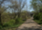 Greenway - What Lies Ahead?