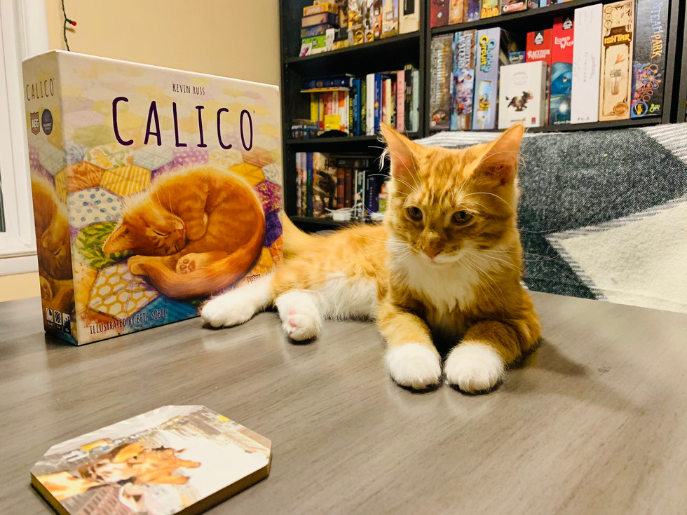 Calico & Toffee