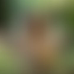 Anorgasmie : arrêtez de chercher l'orgasme !