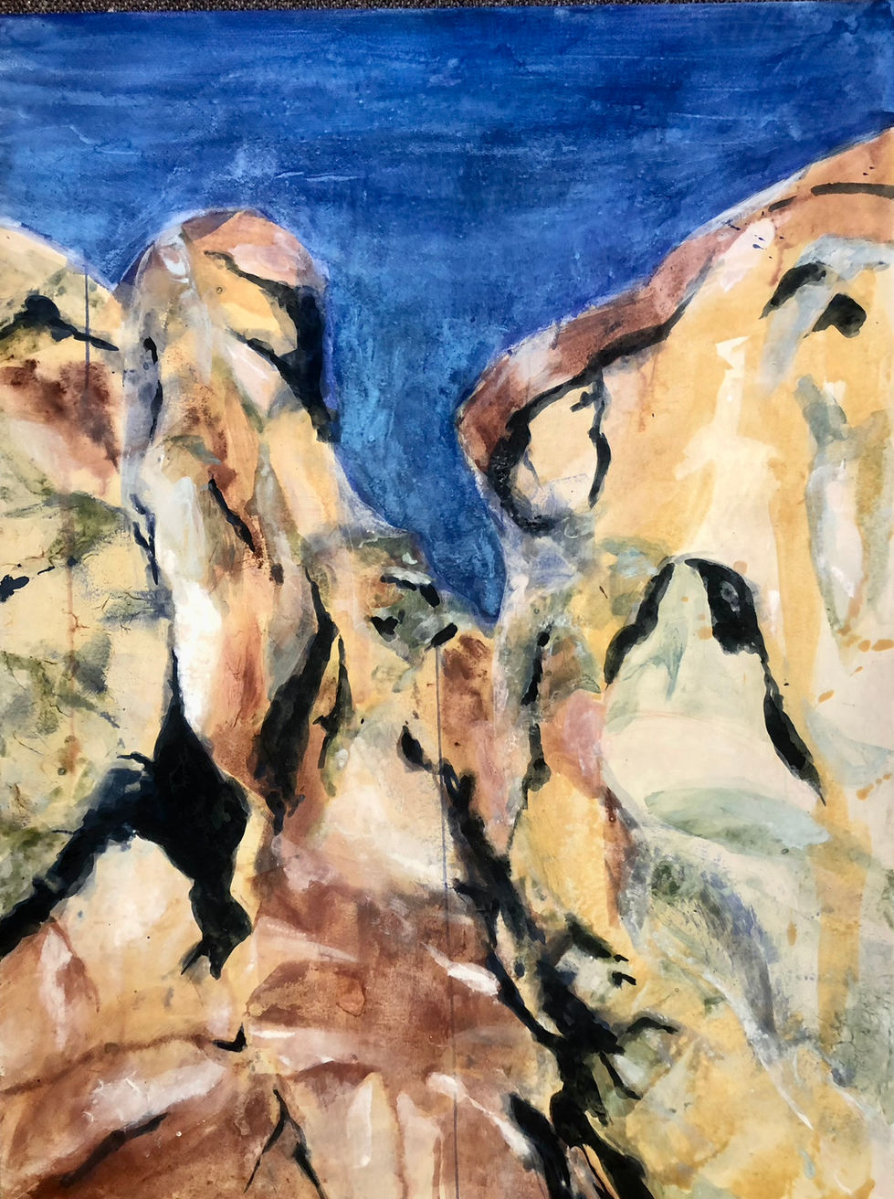 55572b_fac13e49464441bc9b654701b0f4fec3~mv2