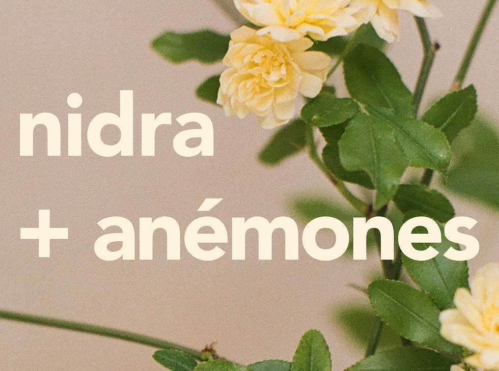 Nidra + Anémones