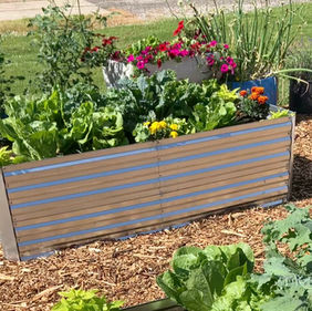 Community Garden