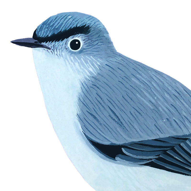 little_bird_button.png