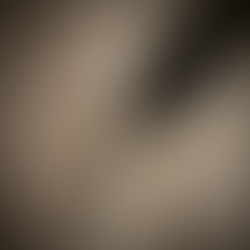                     Folha solta - Diário