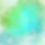 IMG_0010.PNG