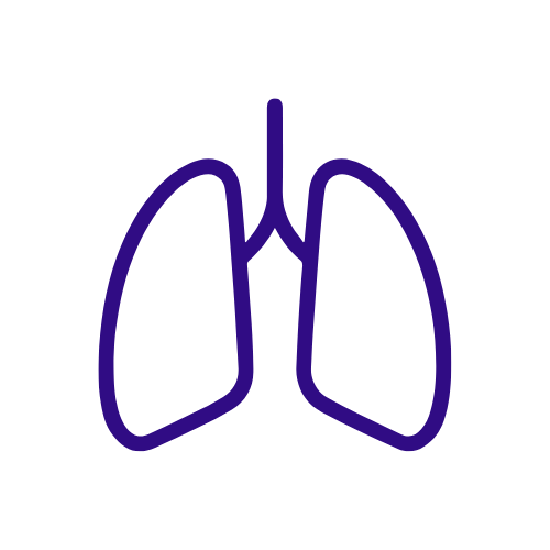 Untitled design (30).png
