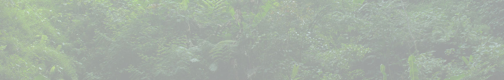 haerul-am-oH8c8GZtUnM-unsplash_edited.jp