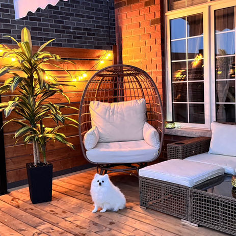 Night evening cozy modern backyard white pomeranian new house new deck new patio area cozy serene relaxing privacy fence modern furniture gazebo outdoor living bbq