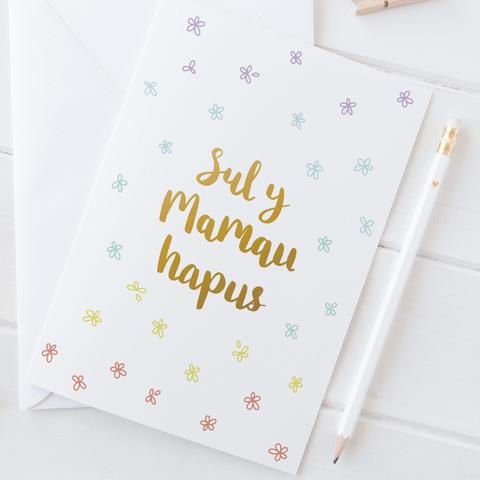 Draenog - Cardiau Sul y Mamau HW55