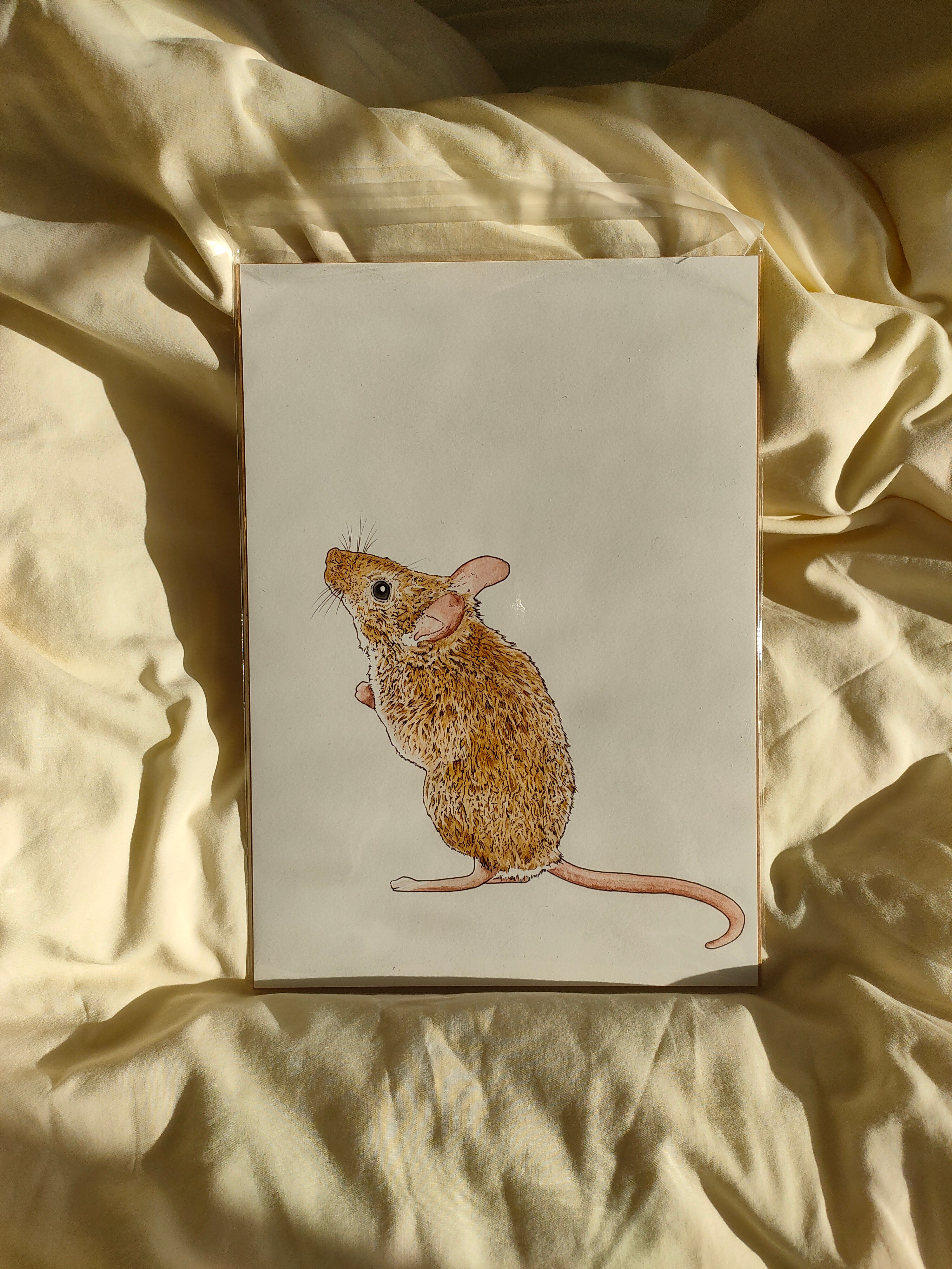 A4 Giclee Print on Cotton Rag