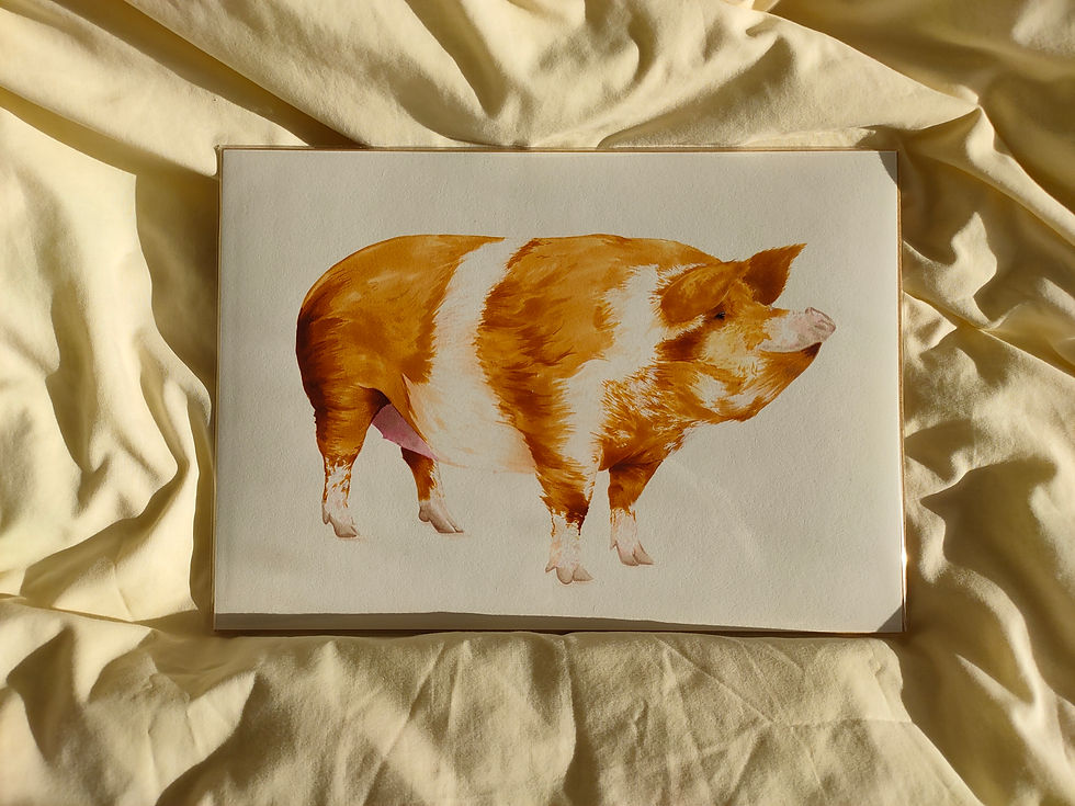 A4 Giclee Print on Cotton Rag