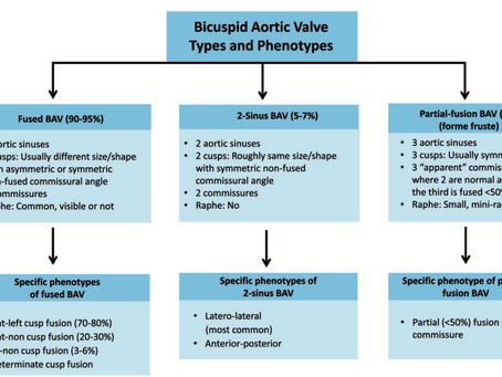 Aorta bicúspide y su aortopatía, consenso internacional sobre su nomenclatura y clasificación.